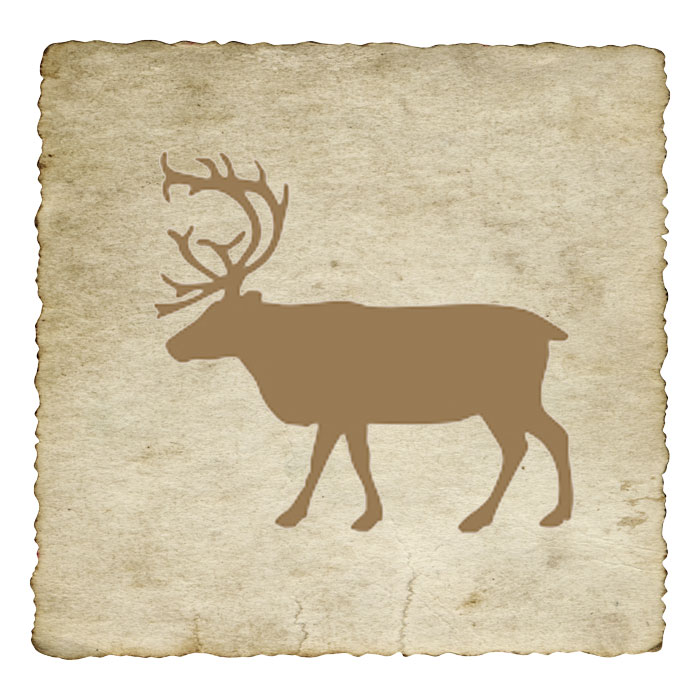 signe-astrologique-azteque-cerf