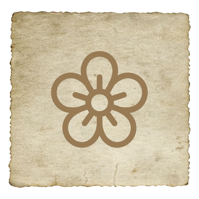 signe-astrologique-azteque-fleur