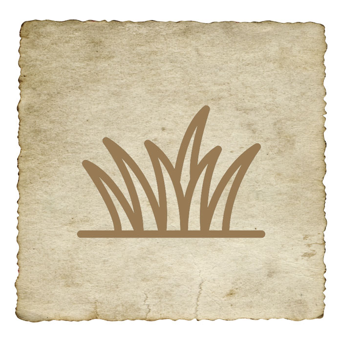 signe-astrologique-azteque-herbe