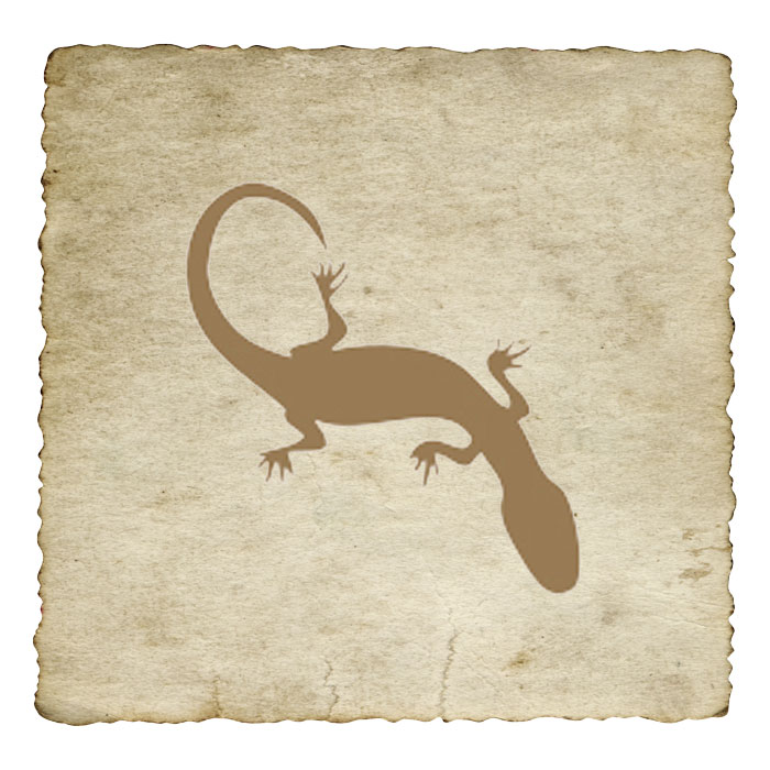 signe-astrologique-azteque-lezard