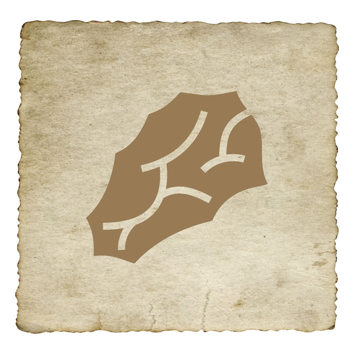 signe-astrologique-azteque-silex