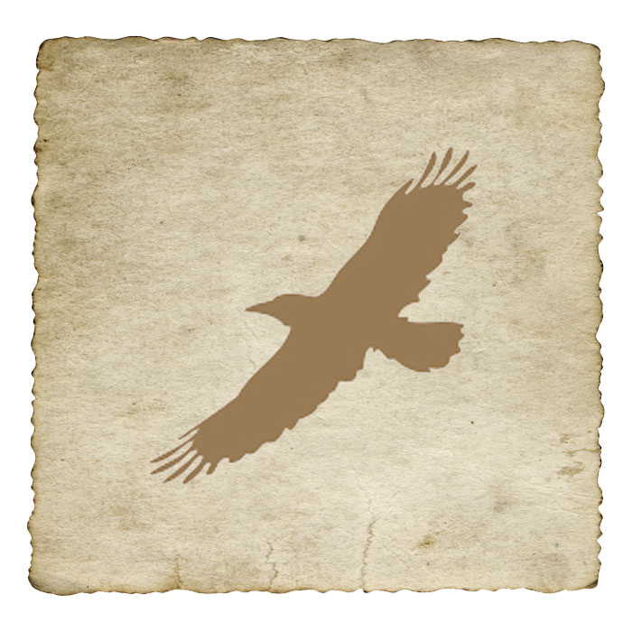 signe-astrologique-azteque-vautour