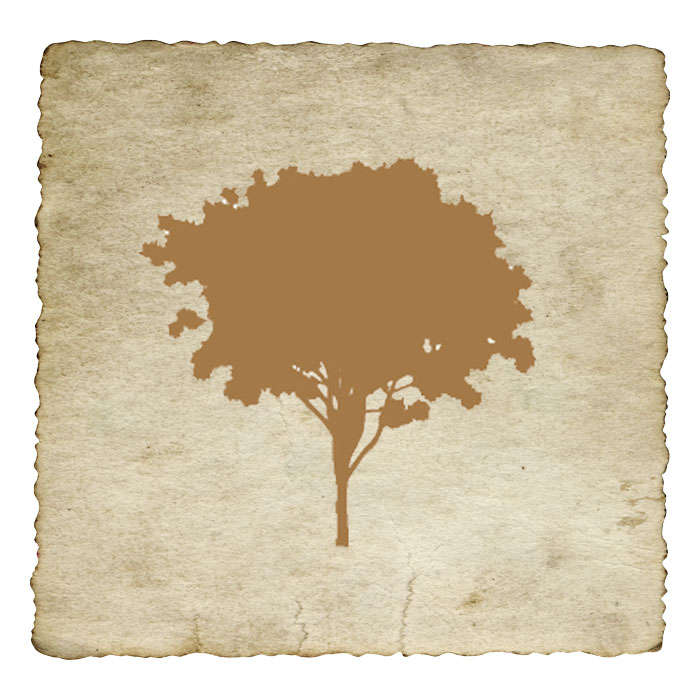 signe-astrologique-celtique-aubepine