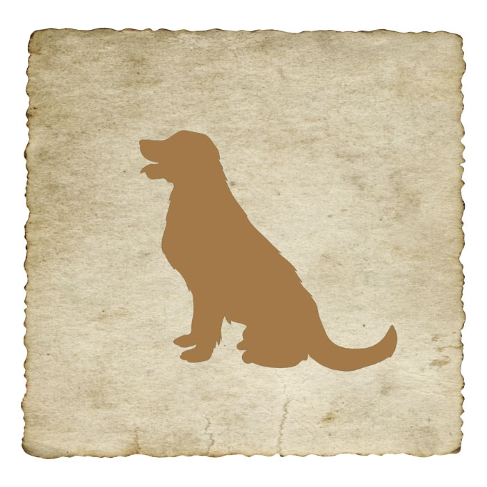 signe-astrologique-tibetain-chien