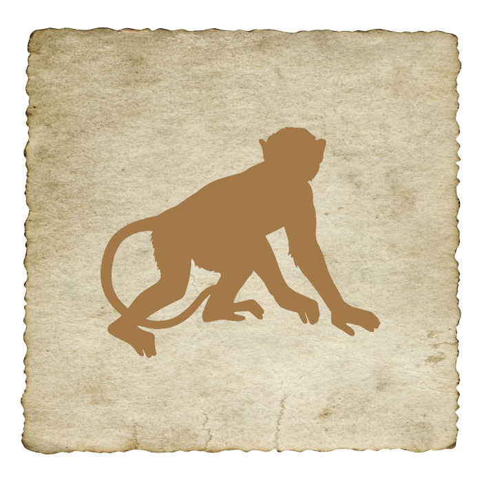 signe-astrologique-tibetain-singe
