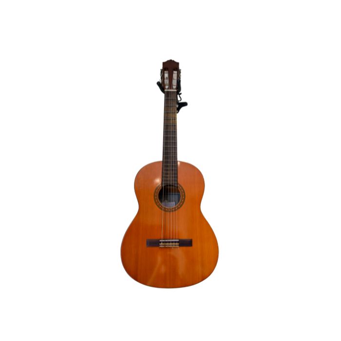 instrument-Guitare-resonateur-electrifiee