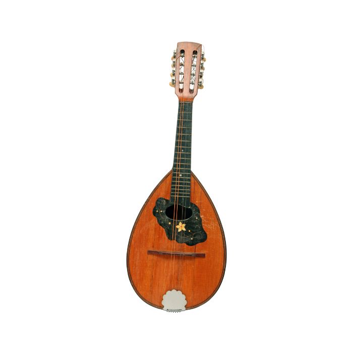 instrument-Mandoline-electrique