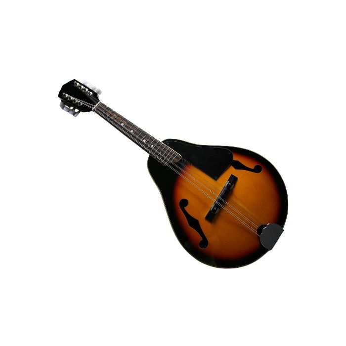 instrument-Mandoline-electroacoustique