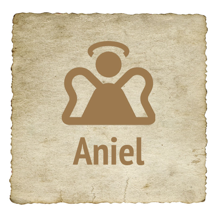 aniel