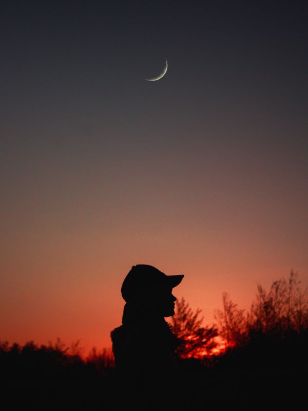 Silhouette au crépuscule avec croissant de lune — Horoscope