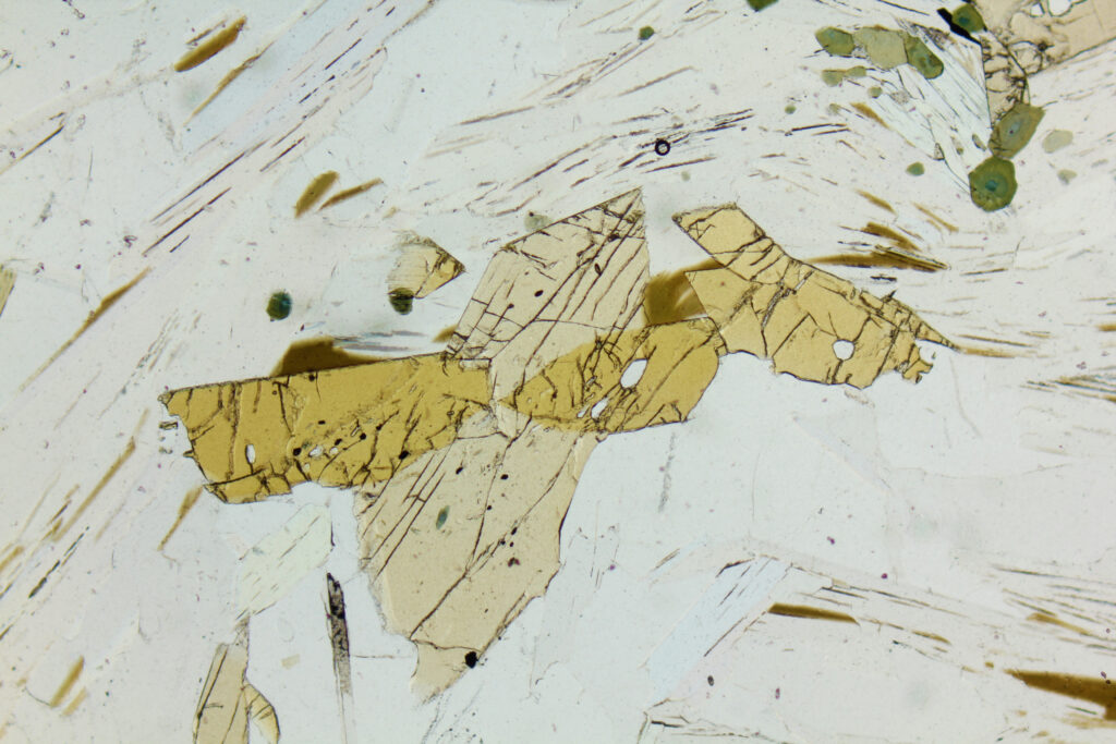 Cristaux de staurolite maclés en forme de croix, observés en lumière polarisée