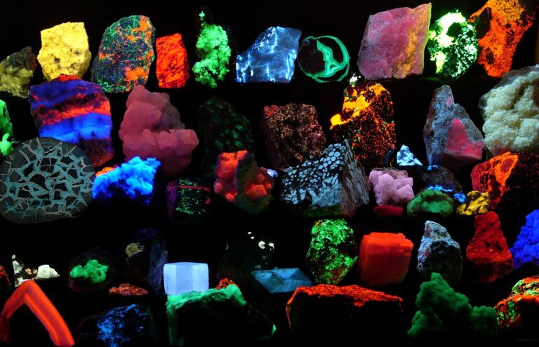 Collection de minéraux fluorescents émettant des couleurs vives sous lampe à ultraviolets